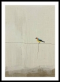 Bild 6 von Minimalismus Abstrakt einsamer bunter Vogel Edition of 50  / (Größe) 50x70 cm Leinwand gespiegelt
