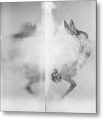 Bild 2 von Emergency - Exit - Fotografie