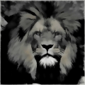 Bild 1 von Motiv Lion Grew by Felix von Altersheim