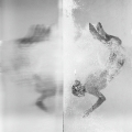Bild 1 von Emergency - Exit - Fotografie