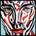 Bild 1 von Premium - Galerie Rahmen - Zebra - Boy 01  Foto Realismus  by Felix von Altersheim  / (Größe) 120 cm x 120  cm Gallery Print/schwarzen Rahmen fertigt montiert/Schwarz